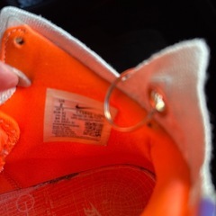 ナイキ レブロン１７ Nike LeBron 17  Future Airの画像