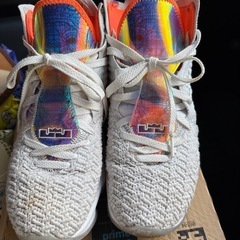 ナイキ レブロン１７ Nike LeBron 17  Future Airの画像