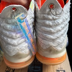 ナイキ レブロン１７ Nike LeBron 17  Future Airの画像