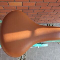 自転車店から出品です。5年使用のジュニアモデルの画像