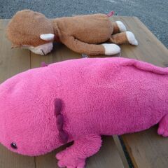 おさるノジョージ・オオサンショウウオ 大きいぬいぐるみの画像