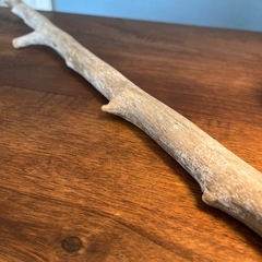 12、真っ直ぐーーー流木、天然物、インテリア、オブジェの画像