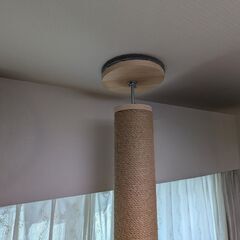 STADIUM 木製キャットタワースタジアム突っ張り式（クリアボール付き）の画像