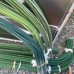 受渡者決定‼️値下げ⭐️❶格安（中古）タキロンカラー鋼管セット　セキスイイボ竹Kセット　農具②の画像