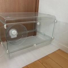 ハムスター飼育ケースの画像