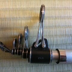 ダイワ　サーフスイングT　25-425Vの画像