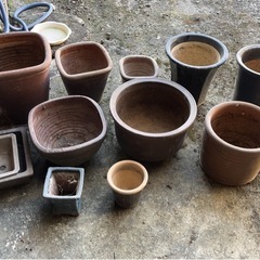 植木鉢　多種の画像