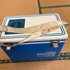 相談中11\23日までの投稿です。ダイワクーラーの画像