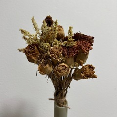 ドライフラワーの画像