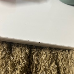 ニトリ　ダイニングと椅子(傷ご確認用)の画像