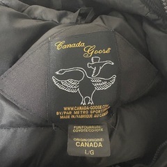 カナダグース　エクスペディションの画像