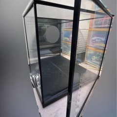 大型 ガラスケース 爬虫類飼育ケース の画像