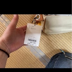 ⭐︎LAURAPELLATI ショルダーバッグの画像