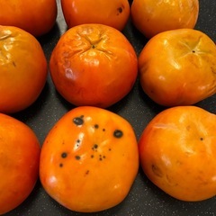 11/22.23 お取引できる方！大玉　富有柿　10コの画像