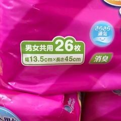 【未使用】GOONスーパーBIG大人用と子供用の中間サイズの画像