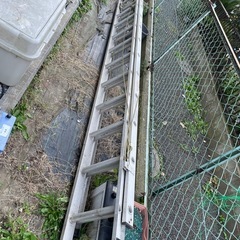 ピカ　2連はしご　全長7.27mの画像