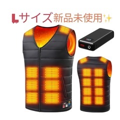 電熱ベストの画像