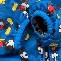 ミッキー　フリースジャケット　アウターの画像