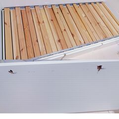 ニトリ　シングルベッドのフレームとマットレス（2つ）の画像