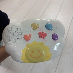 プーメリーの画像