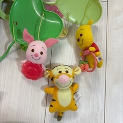 プーメリーの画像