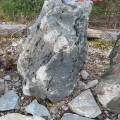 庭石　お譲りしますの画像