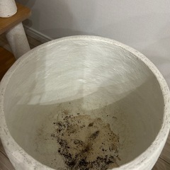おしゃれ　観葉植物鉢の画像