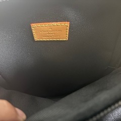 【激レア】ルイ・ヴィトン NIGO コラボ アマゾン  の画像