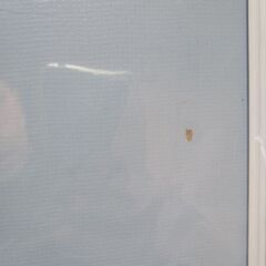 魔💙法❤️騎💚士【マジックナイト】レイアース⚔️の画像