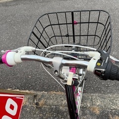 ブリヂストンワイルドベリー24の画像