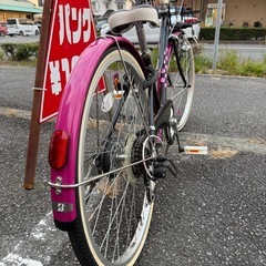 ブリヂストンワイルドベリー24の画像