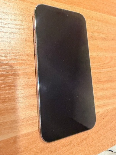 家電 iPhone14ProMax 256gb