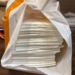 薄型ペットシーツ スーパーワイド 1回使い捨て 無香料 ホワイト 23枚の画像