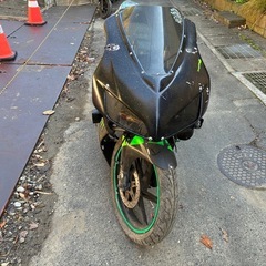 NS1 ベース車　キック降りますの画像