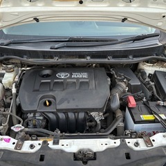 20ウィッシュ 後期 の画像