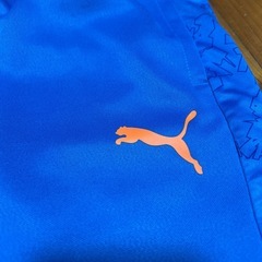 プーマ　半ズボン　150センチの画像