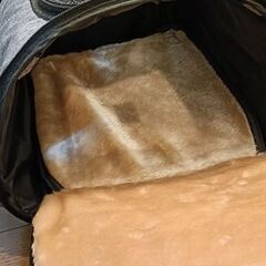 ペット用キャリーバッグ（リュックタイプ）　一度使用の美品の画像