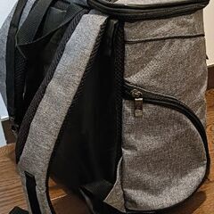 ペット用キャリーバッグ（リュックタイプ）　一度使用の美品の画像