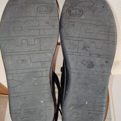 CAMPER FORMIGA 25cm カンペール 箱付きの画像