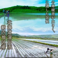 R7新米　ゆめぴりかの画像