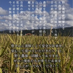 R7新米　ゆめぴりかの画像