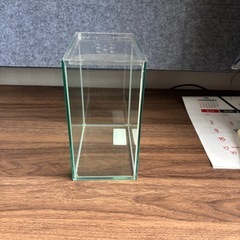 ベタ　コレクションケースM 蓋付き の画像