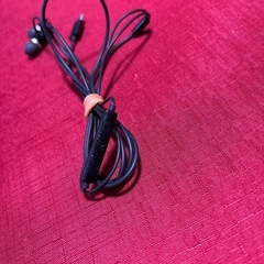 タイプC対応イヤフォンの画像