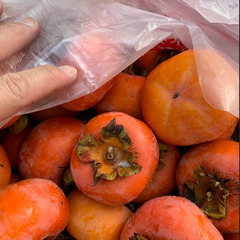 柿15kg　2000円の画像