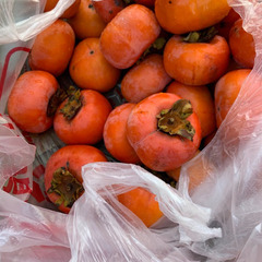 柿15kg　2000円の画像