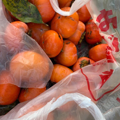 柿15kg　2000円の画像