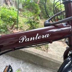 Raychell FB-206R 折りたたみ自転車
の画像