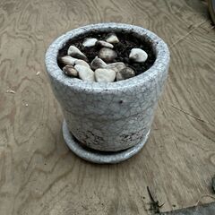 植木鉢 土入りの画像