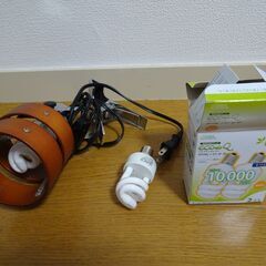 予備のエコ電球付き、クリップ式木製蛍光デスクスタンドライト 　照明器の画像