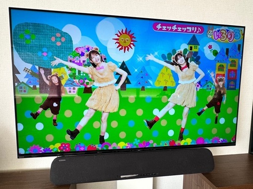 SONY 有機EL 55型テレビ　壁寄せスタンド付き
